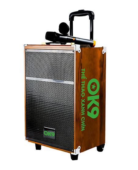 LOA BLUETOOTH CAO CẤP